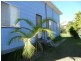 52 Ark Royal Dr, Cooloola Cove QLD 4580