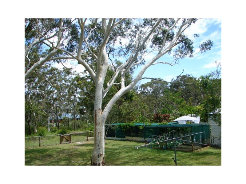 29 Ark Royal Drive, Cooloola Cove QLD 4580