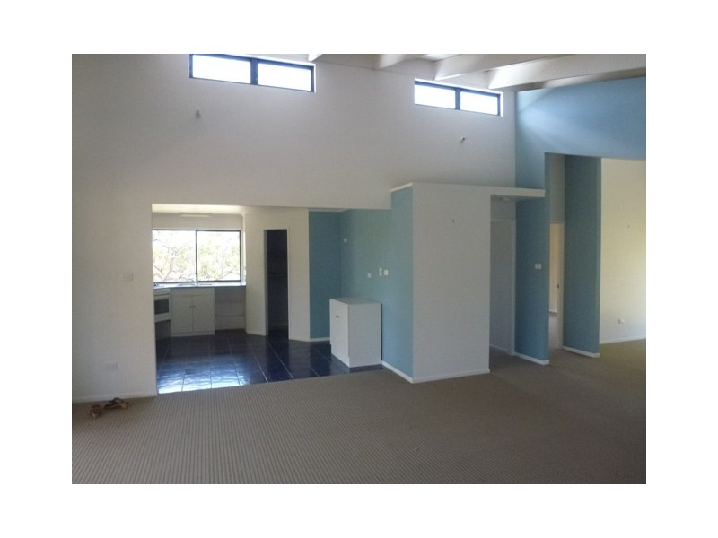 11 Cerebus Court, Cooloola Cove QLD 4580