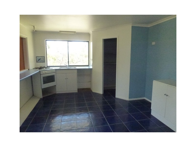 11 Cerebus Court, Cooloola Cove QLD 4580