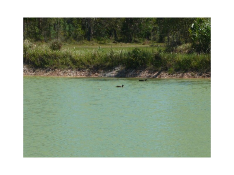 45 Osborne Road, Wallu,, Tin Can Bay QLD 4580