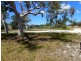 131 Investigator Avenue, Cooloola Cove QLD 4580