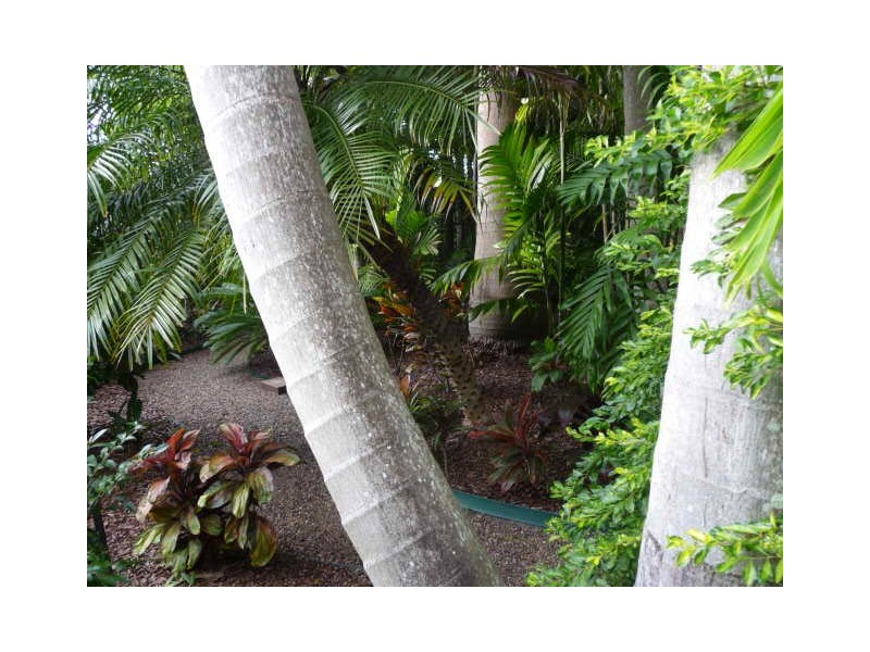 49 Endeavour, Cooloola Cove QLD 4580