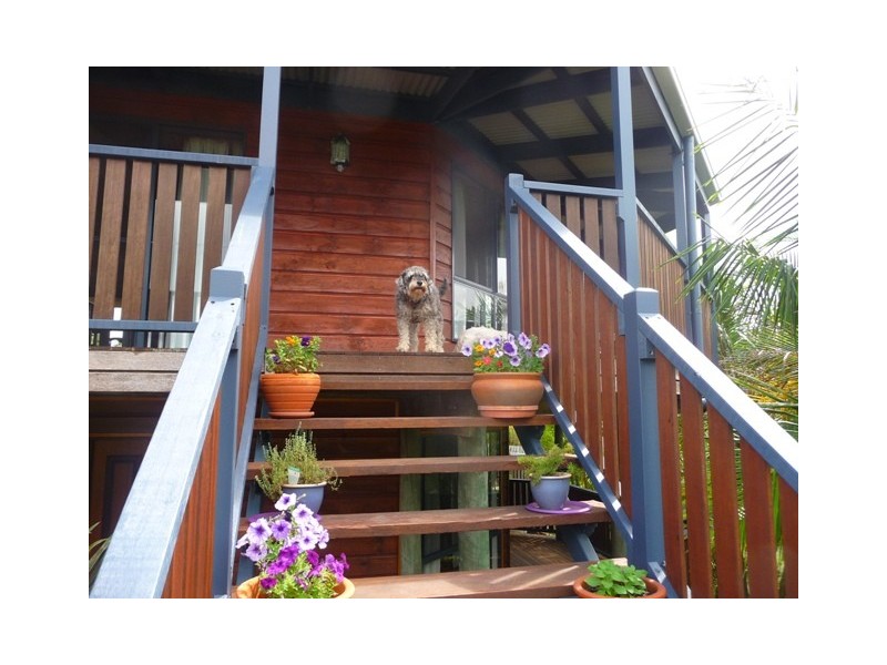 4 Nina Court, Cooloola Cove QLD 4580