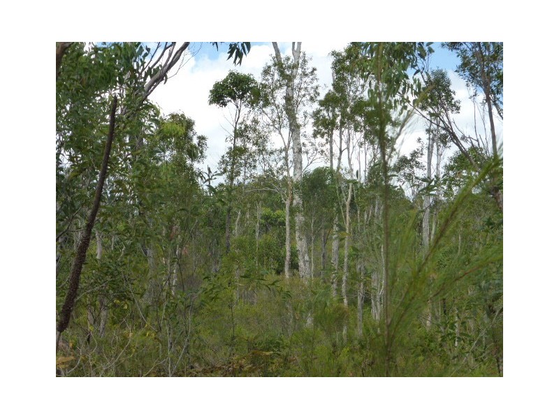 25 Lot 131 Summer Way, Tin Can Bay QLD 4580