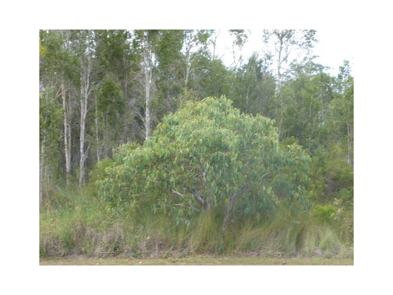 25 Lot 131 Summer Way, Tin Can Bay QLD 4580