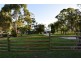 12 Waratah Drive, Cooloola Cove QLD 4580