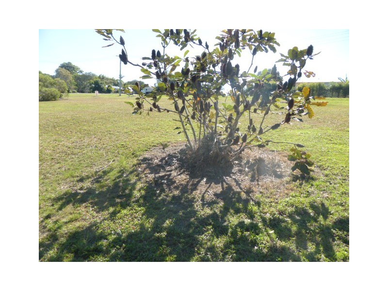 71 Endeavour Dr, Cooloola Cove QLD 4580