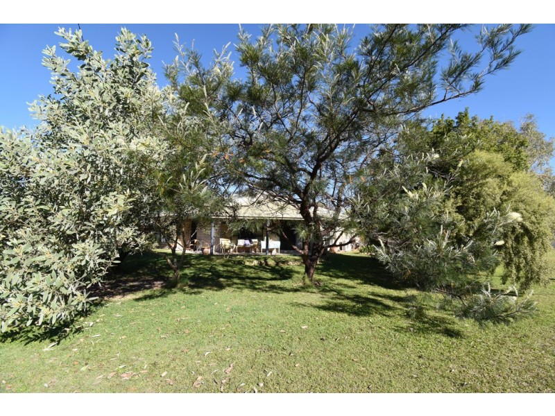 16 Golden Hind Avenue, Cooloola Cove QLD 4580