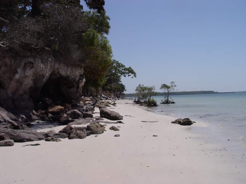 28 Boronia Dr, Tinnanbar QLD 4650