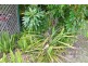 19 Golden Hind Avenue, Cooloola Cove QLD 4580