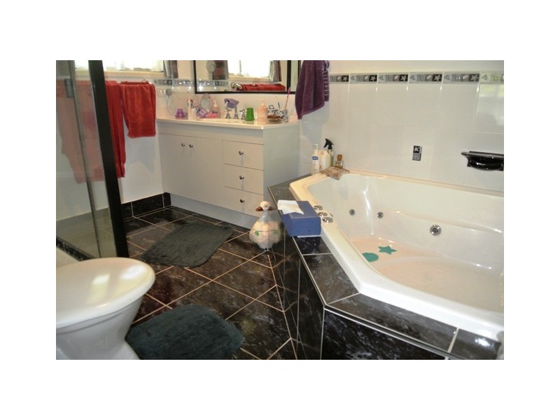 11 Mayflower Court, Cooloola Cove QLD 4580