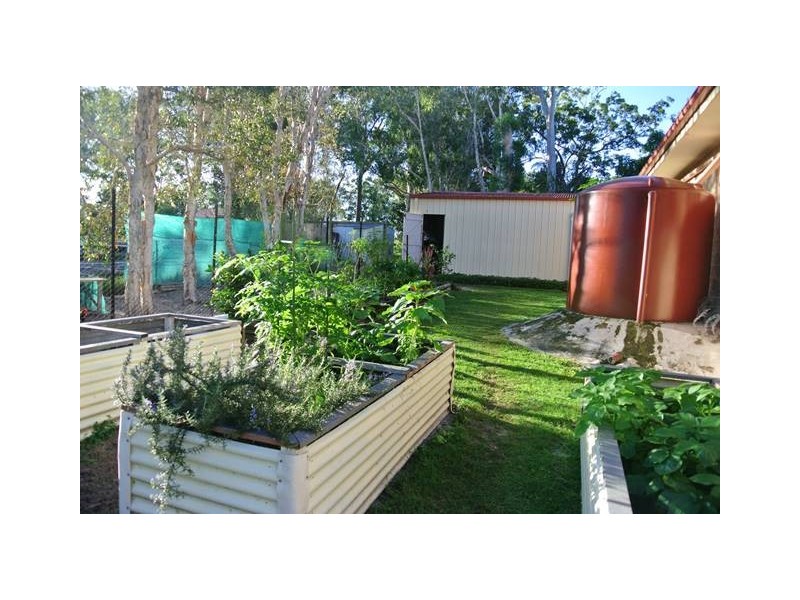 4 Cygnet Court, Cooloola Cove QLD 4580
