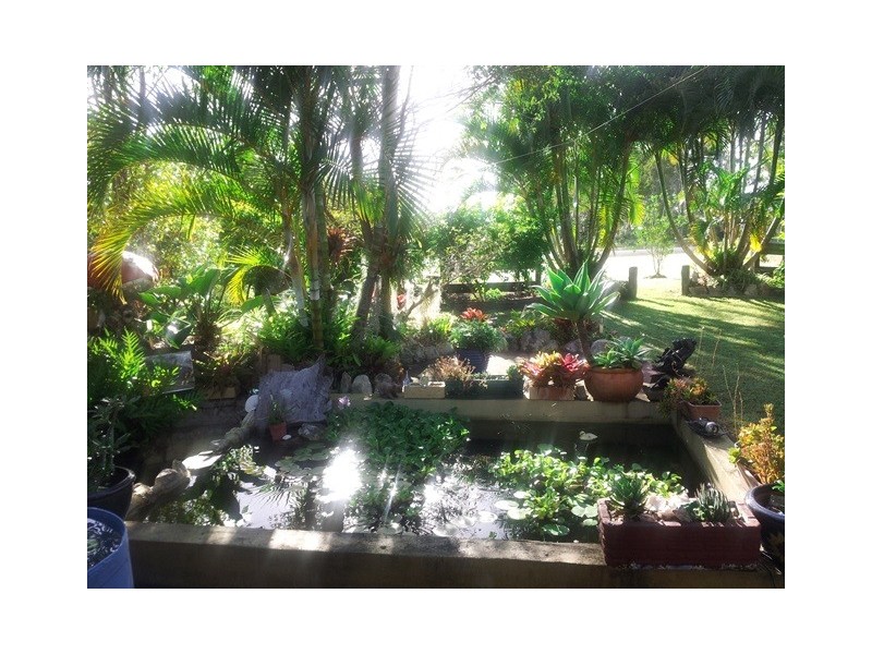 164 Queen Elizabeth Drive, Cooloola Cove QLD 4580