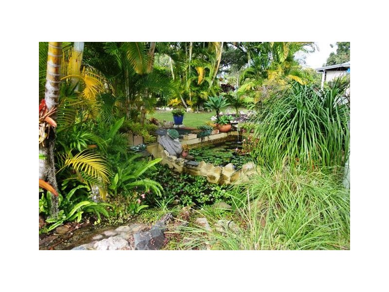 164 Queen Elizabeth Drive, Cooloola Cove QLD 4580