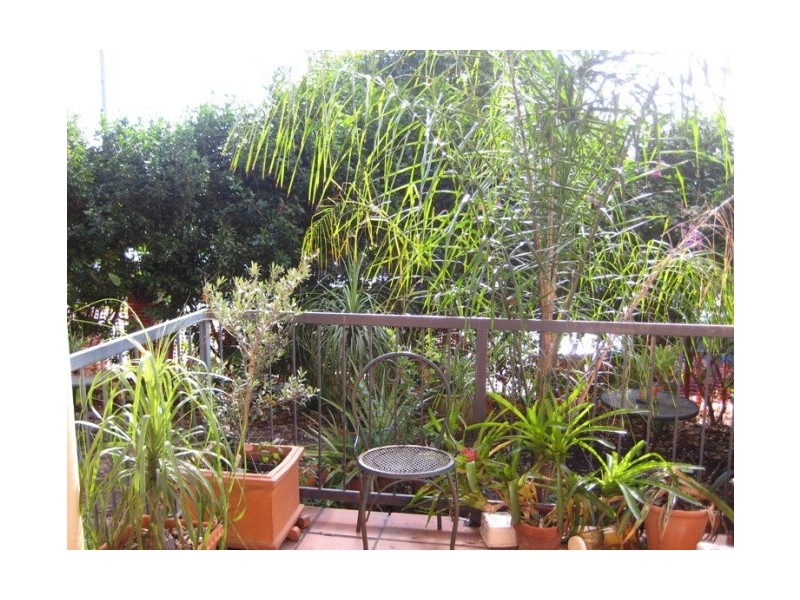 1/191 Harcourt Street, New Farm QLD 4005