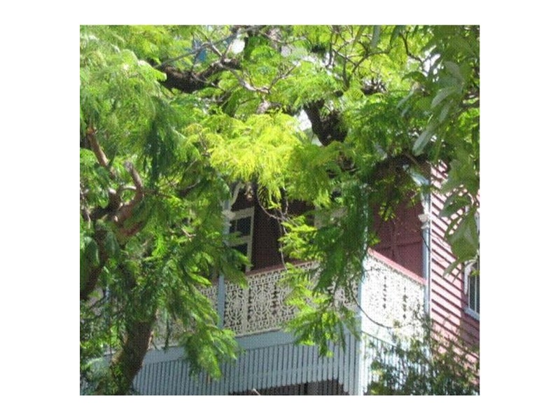 50 Phillips Street, Spring Hill QLD 4000