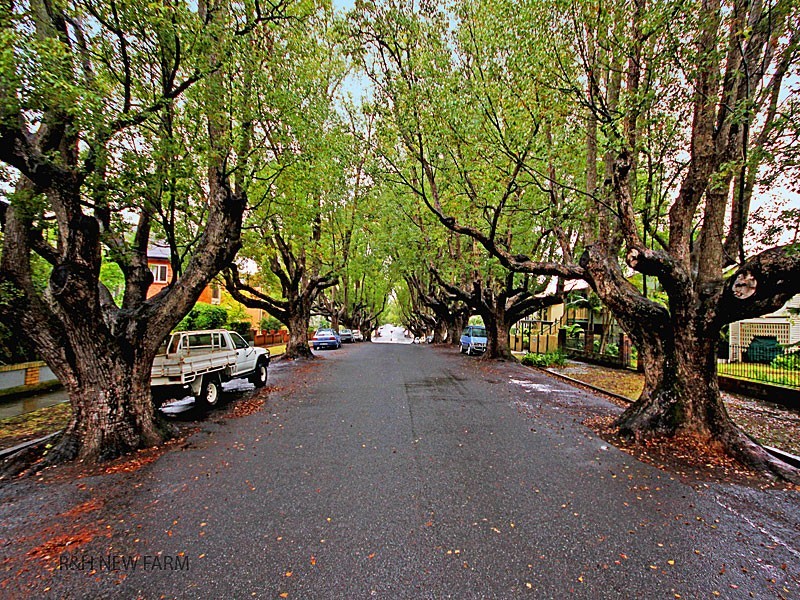 7/4 Abbott Street, New Farm QLD 4005