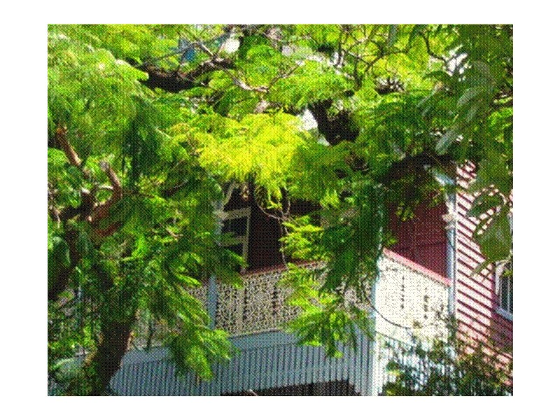 50A Phillips Street, Spring Hill QLD 4000
