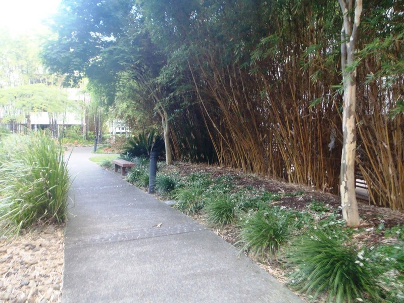 141 Campbell Street, Bowen Hills QLD 4006