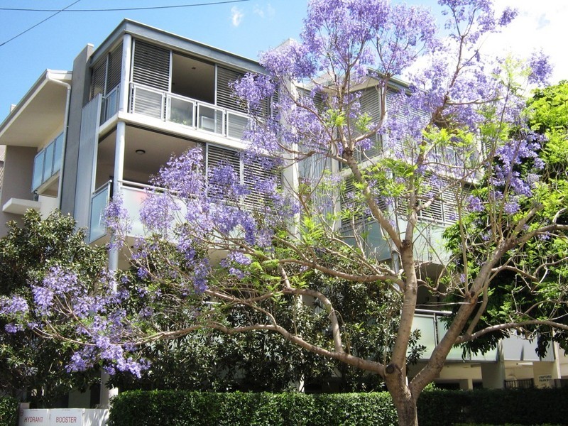 3  Dixon Street, New Farm QLD 4005