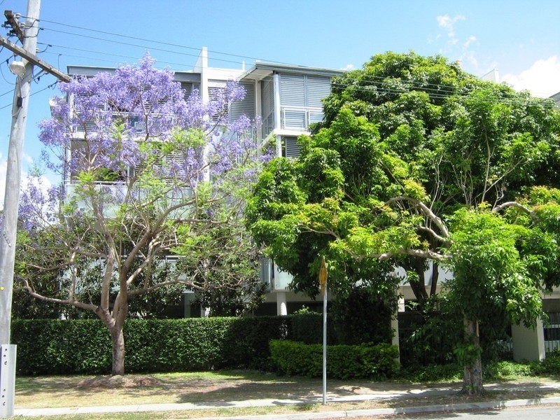 3  Dixon Street, New Farm QLD 4005