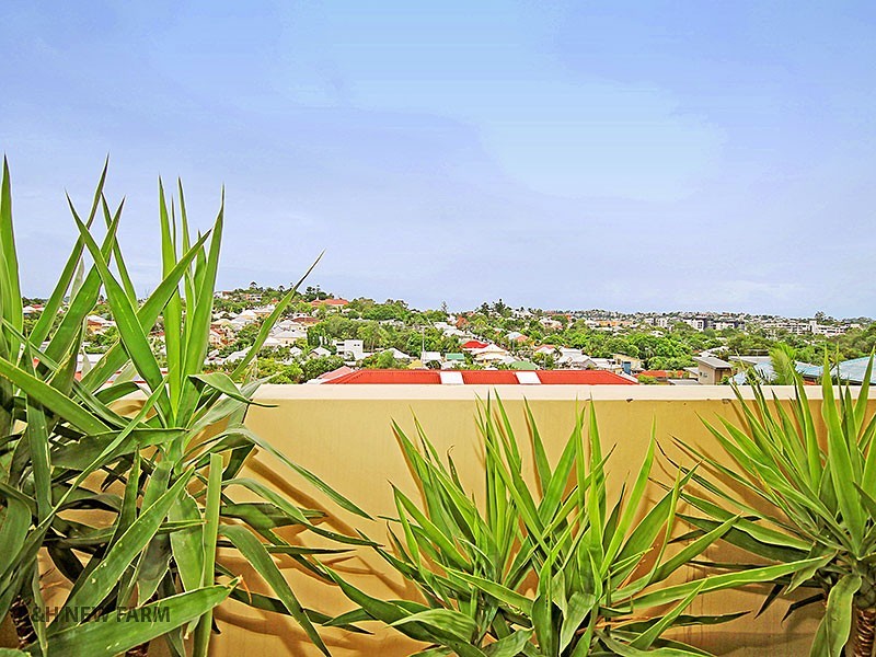 9/694 Brunswick Street, New Farm QLD 4005