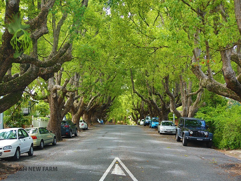 11 Abbott Street, New Farm QLD 4005