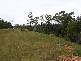 Milton NSW 2538