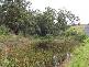 Milton NSW 2538