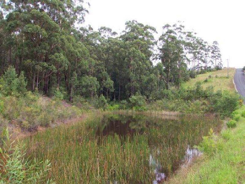 Milton NSW 2538