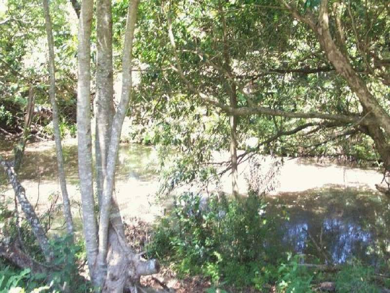 Milton NSW 2538