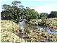 Lot 8 Croobyar Road, Milton NSW 2538