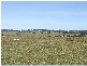 Lot 8 Croobyar Road, Milton NSW 2538