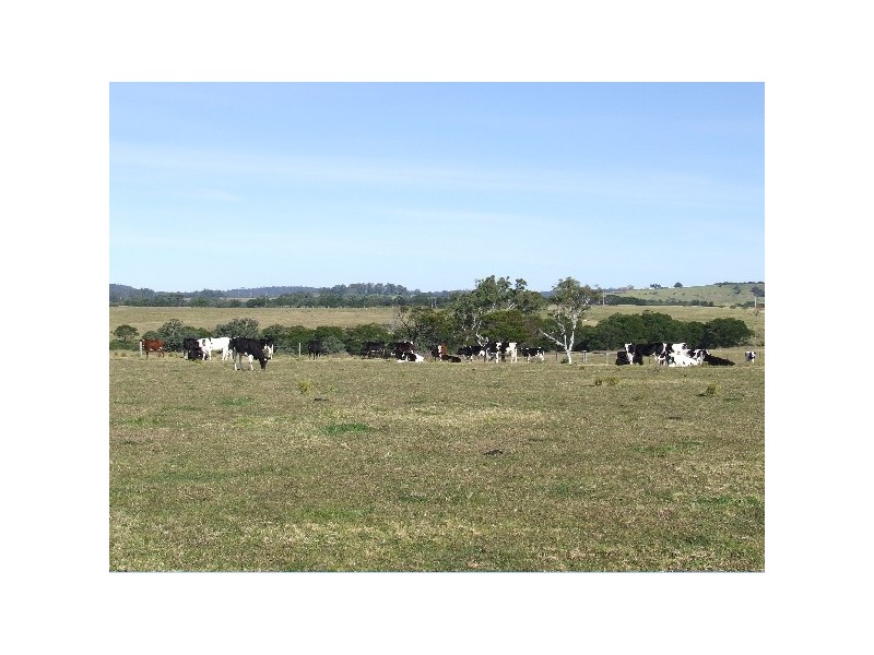 Lot 8 Croobyar Road, Milton NSW 2538