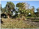 1  Craig Street, Lake Conjola NSW 2539