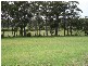 13 Bada Crescent, Burrill Lake NSW 2539