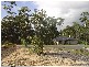 Lot 202 Yarrawonga Drive, Mollymook NSW 2539