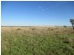 87 BRINSOP ROAD, Muckadilla QLD 4461
