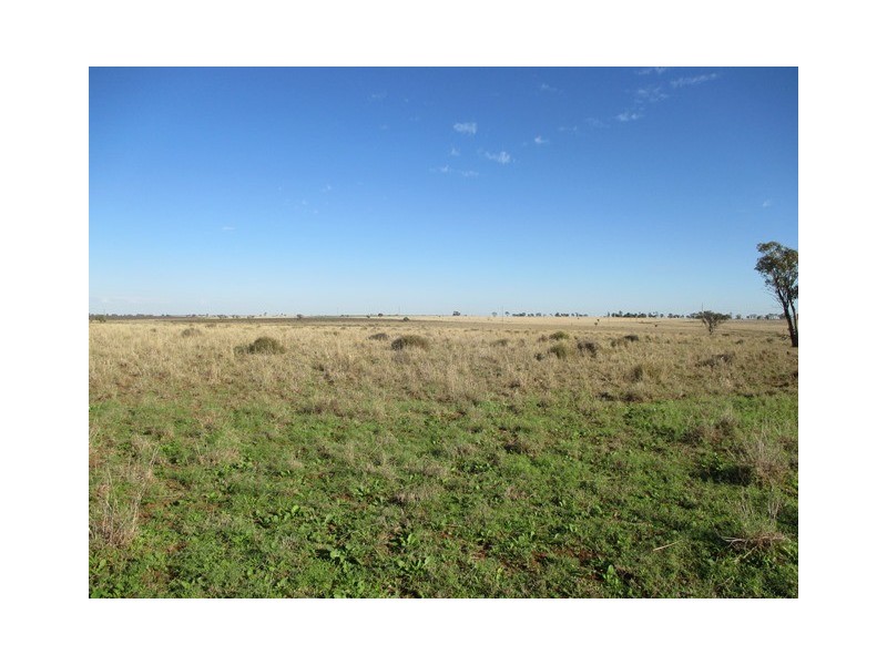87 BRINSOP ROAD, Muckadilla QLD 4461