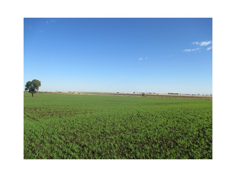 87 BRINSOP ROAD, Muckadilla QLD 4461