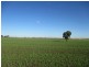 87 BRINSOP ROAD, Muckadilla QLD 4461