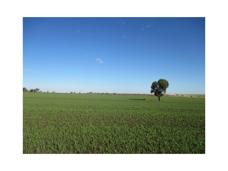 87 BRINSOP ROAD, Muckadilla QLD 4461