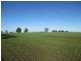 87 BRINSOP ROAD, Muckadilla QLD 4461