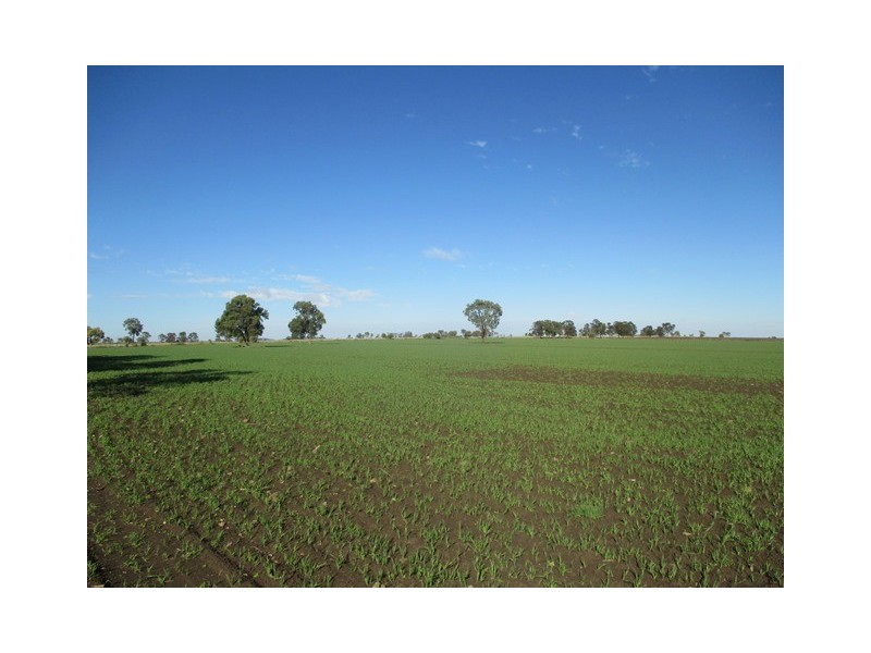 87 BRINSOP ROAD, Muckadilla QLD 4461