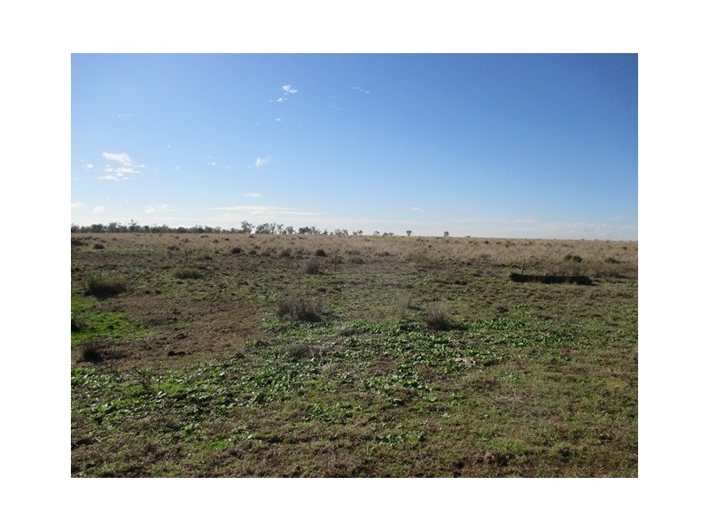 87 BRINSOP ROAD, Muckadilla QLD 4461