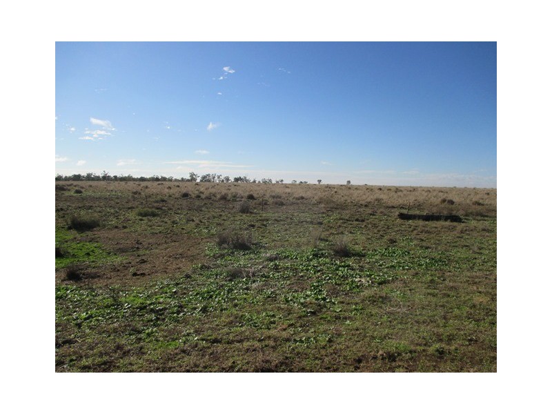 87 BRINSOP ROAD, Muckadilla QLD 4461