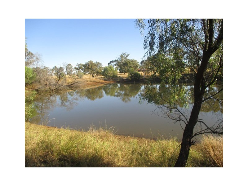 1253 CARNARVON DEVELOPMENTAL ROAD, Orange Hill QLD 4455