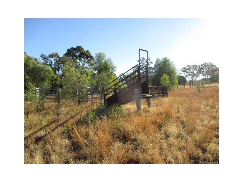 1253 CARNARVON DEVELOPMENTAL ROAD, Orange Hill QLD 4455