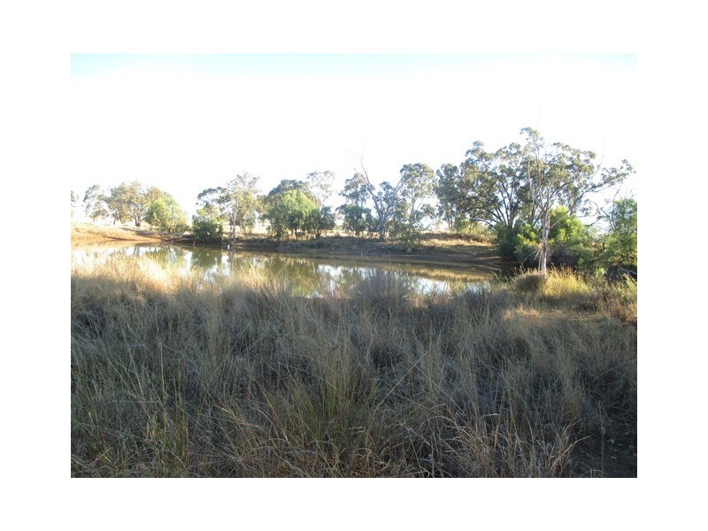 1253 CARNARVON DEVELOPMENTAL ROAD, Orange Hill QLD 4455